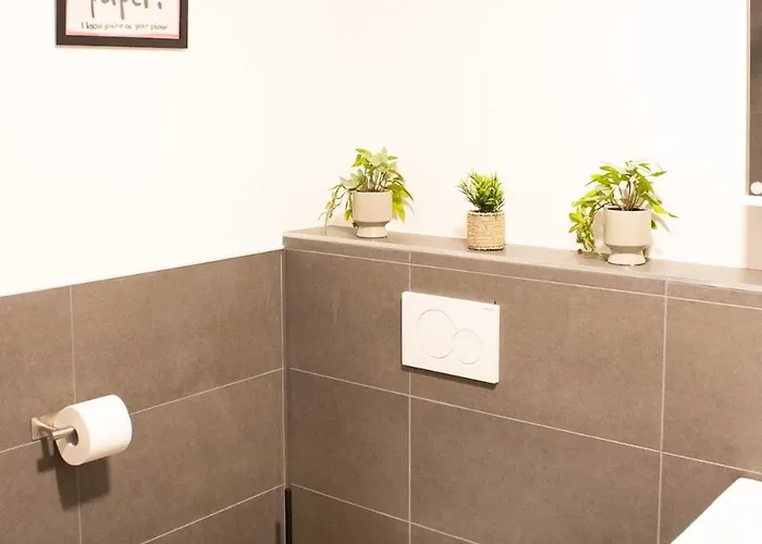 Smart פרנקפורט